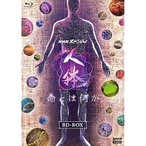 NHKスペシャル 人体 神秘の巨大ネットワーク ブルーレイBOX〈7枚組〉 NHKスペシャル 人体 神秘の巨大ネットワーク ブルーレイBOX（Blu